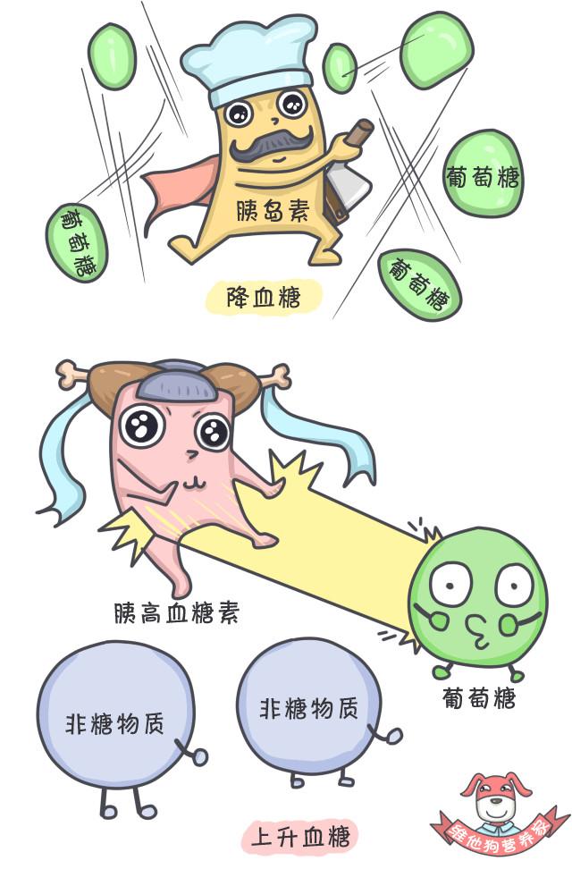 27万胖子用光吃不动的方法减了肥，你也一定想来试试