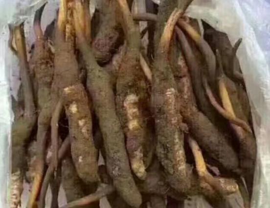 dnf六套五一套卖完能剩什么,dnf2020年五一套有什么能卖的