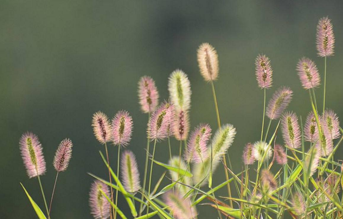 长得丑的励志句子,长得丑的句子经典语录