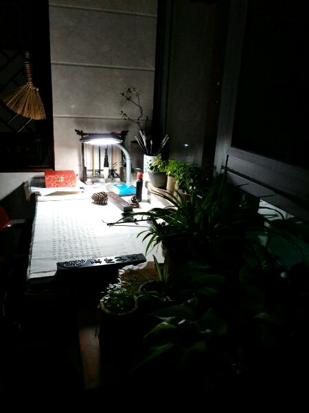 还是专业的拍的好看，新中式美家已入住2个月了，两个字完美！