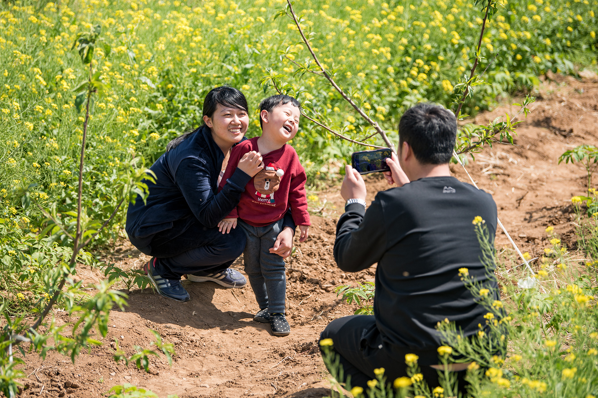 娴庡崡鐧捐姳浜夎壋,娴庡崡鏄ユ殩鑺卞紑楦熻鑺遍