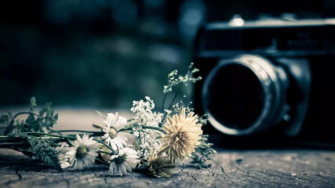 影视作品分析︱三步看片进阶之路:怎么看片既专业又有逼格