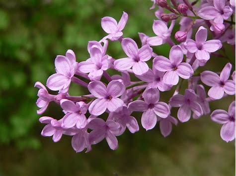 用什么泡脚可以除汗脚,汗脚脚臭用什么泡脚效果好呢
