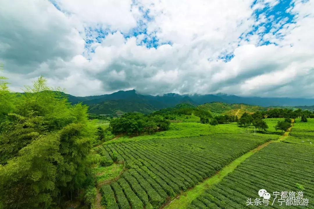 小布镇有哪些景点介绍,小布镇景区