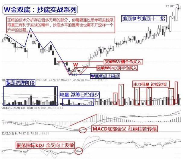 只有一种散户能赚钱,真正在股市赚钱的只有两种人