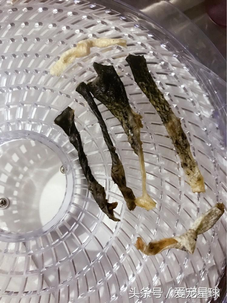 如何自制幼犬去泪痕狗粮视频教程,怎么给狗自制狗粮器