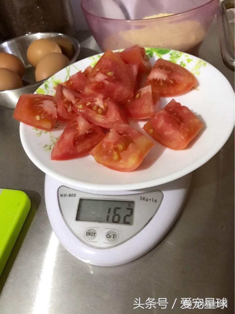 如何自制幼犬去泪痕狗粮视频教程,怎么给狗自制狗粮器