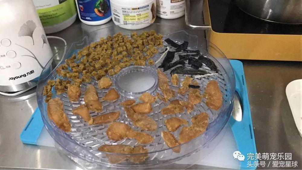 幼犬狗粮自制狗粮教程,怎么给狗自制狗粮器