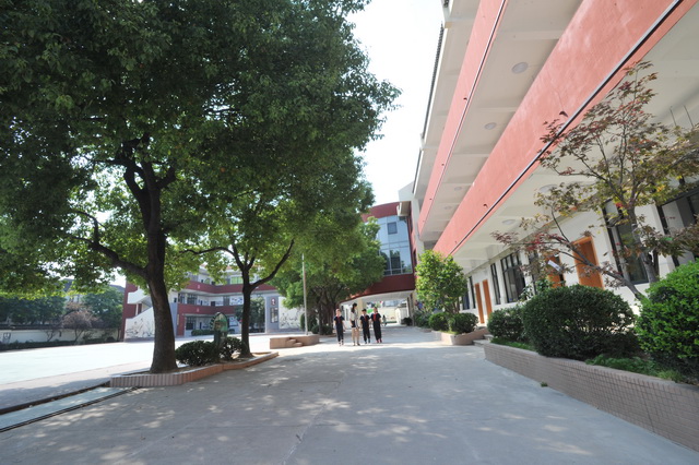 苏州排名前十的学校,苏州各大中学实力排行榜