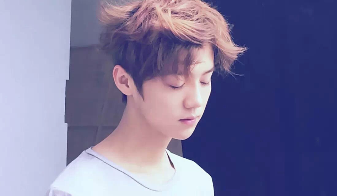 流量小生鹿晗，凭什么粉丝众多？