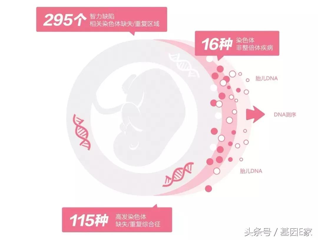 优馨安PLUS，检测范围大扩展，只为安心多一点