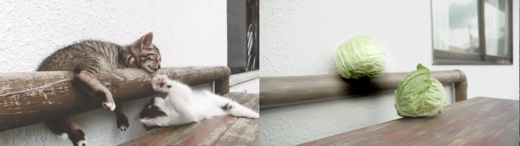 日产和天籁傻傻分不清楚,日清各系列对比