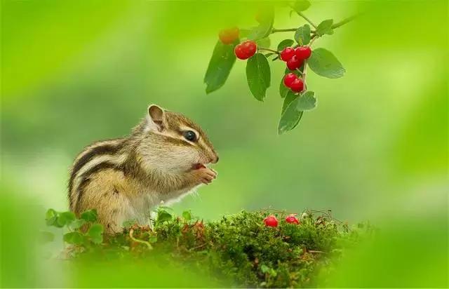怎么克服美食的欲望,怎么克服饥饿的欲望