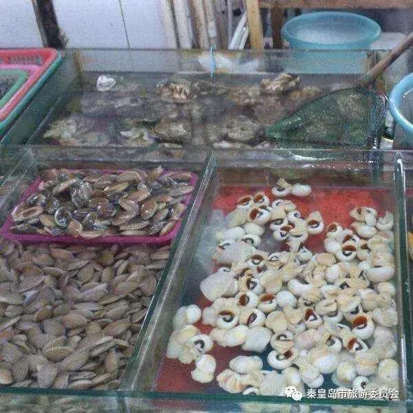 秦皇岛海鲜批发市场哪里最便宜,秦皇岛冬季海鲜去哪买最便宜