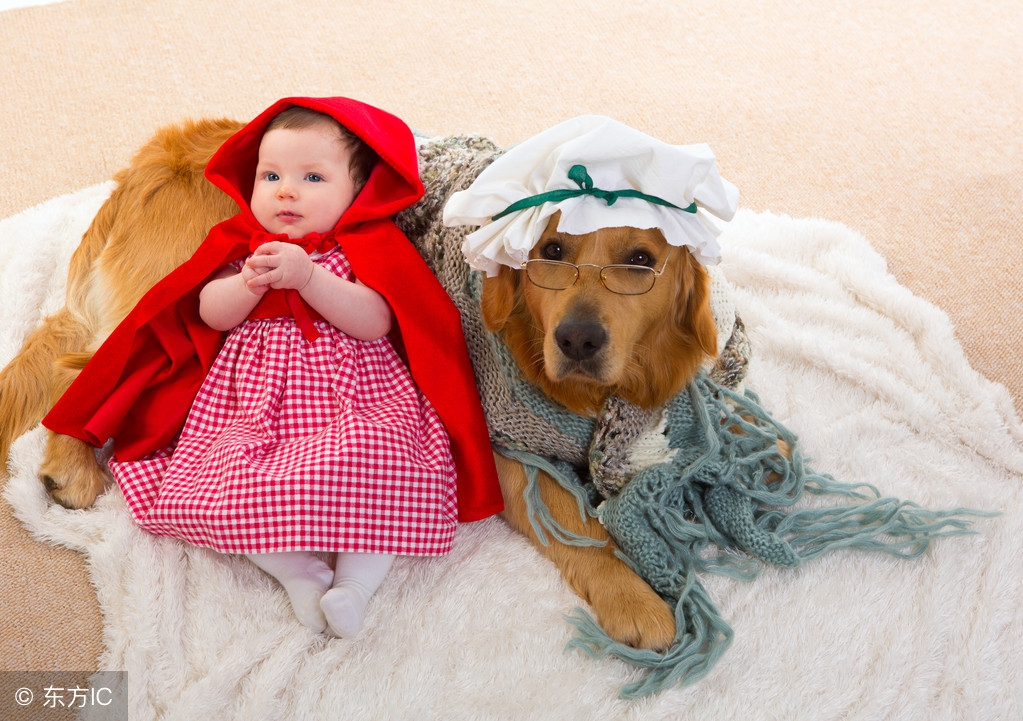 你家狗狗吃的是毒狗粮吗,你家狗狗吃的什么零食