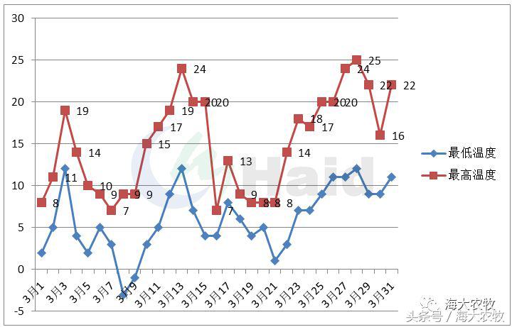 鱼饲料投喂的正确方法,鱼肠道膜薄怎么引起的
