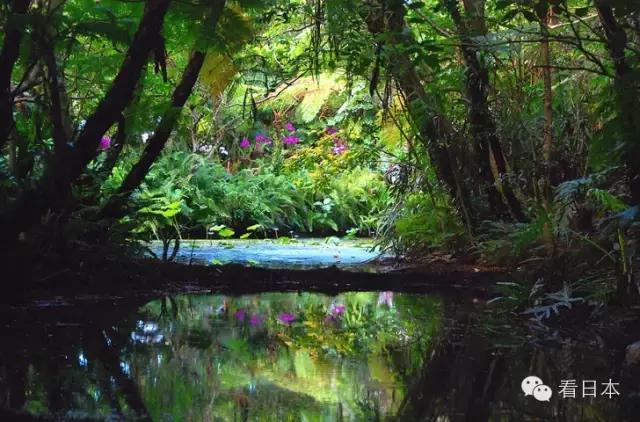 冲绳游玩,冲绳游玩攻略视频