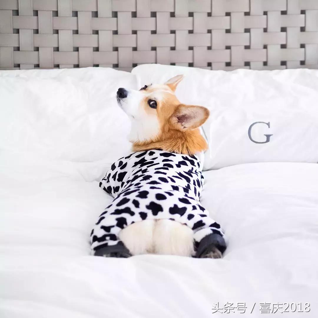 小粗腿水桶腰怎么搭配,腿粗腰粗该怎么减肥