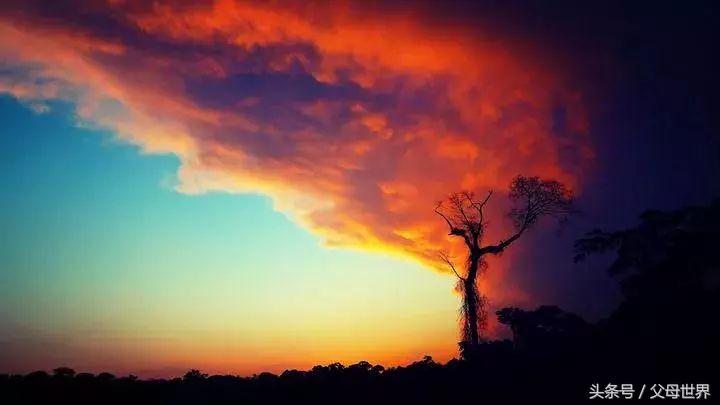 世界地球日，最适合孩子看的18部自然纪录片，趁周末，带娃看起来