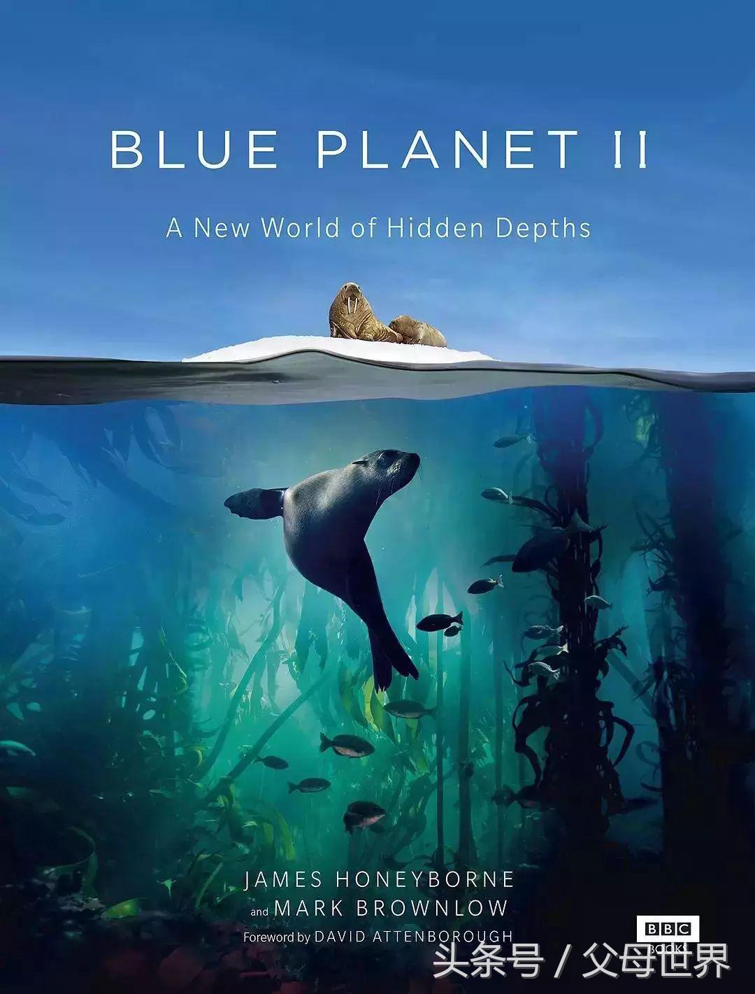 世界地球日，最适合孩子看的18部自然纪录片，趁周末，带娃看起来