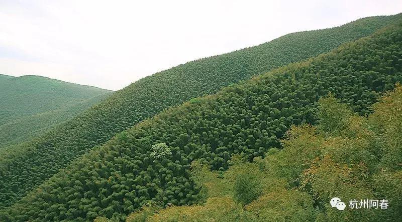 神游世外桃源完整视频,神游仙居景区