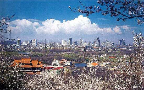 铁岭今天的视频,今日辽宁铁岭最新消息