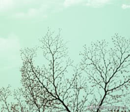 好玩的手指操游戏,好玩手指操