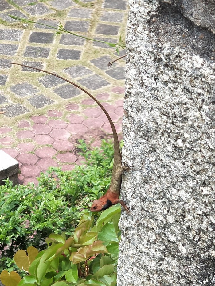 媳妇当车模宝骏,媳妇当车模菲斯塔