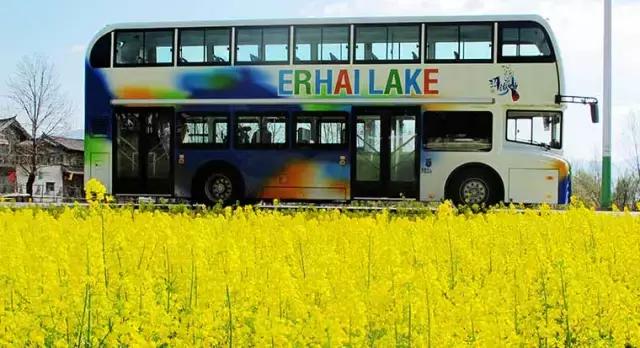 大理洱海环游路线需要多久,大理洱海环游路线从哪里开始