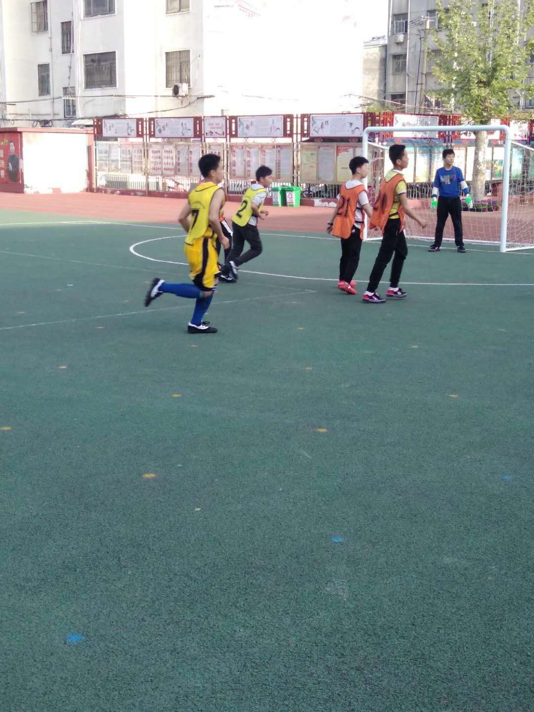 运动健儿们展英姿,运动健儿赛场展英姿