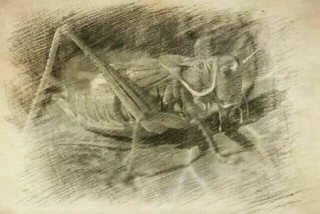 <html>
<head><title>502BadGateway</title></head>
<body>
<center><h1>502BadGateway</h1></center>
<hr><center>nginx</center>
</body>
</html>
<!--apaddingtodisableMSIEandChromefriendlyerrorpage-->
<!--apaddingtodisableMSIEandChromefriendlyerrorpage-->
<!--apaddingtodisableMSIEandChromefriendlyerrorpage-->
<!--apaddingtodisableMSIEandChromefriendlyerrorpage-->
<!--apaddingtodisableMSIEandChromefriendlyerrorpage-->
<!--apaddingtodisableMSIEandChromefriendlyerrorpage-->
