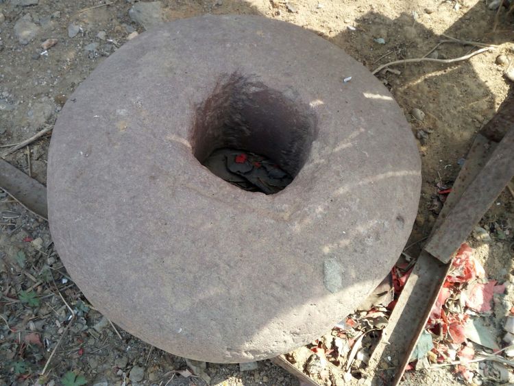 收藏的乐趣在哪里,收藏的乐趣优秀作文