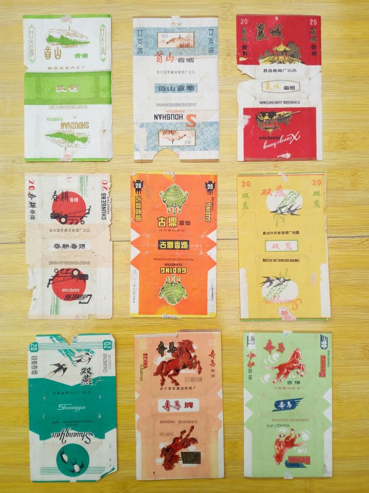 收藏的乐趣在哪里,收藏的乐趣优秀作文