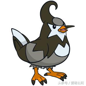 神奇宝贝大图鉴,神奇宝贝图鉴大全集