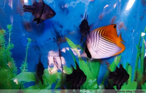 芽庄旅游哪里的东西最好,芽庄旅游旅游团十大必去景点