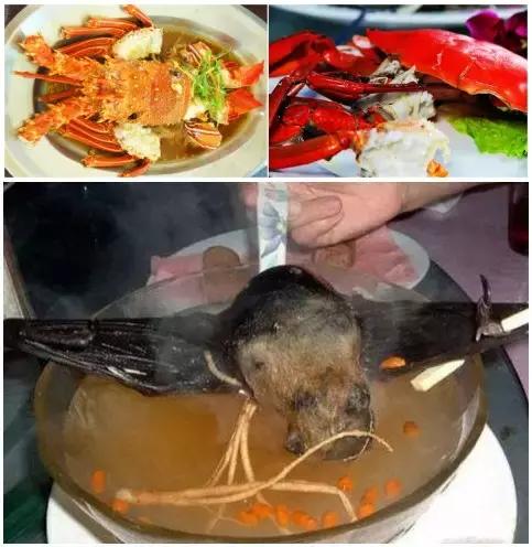 帕劳的旅游咋样,帕劳森旅游攻略