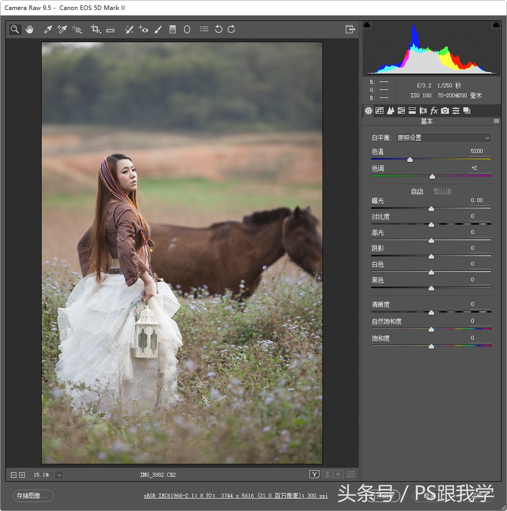 adobecameraraw工具怎么添加,cameraraw首选项怎么设置
