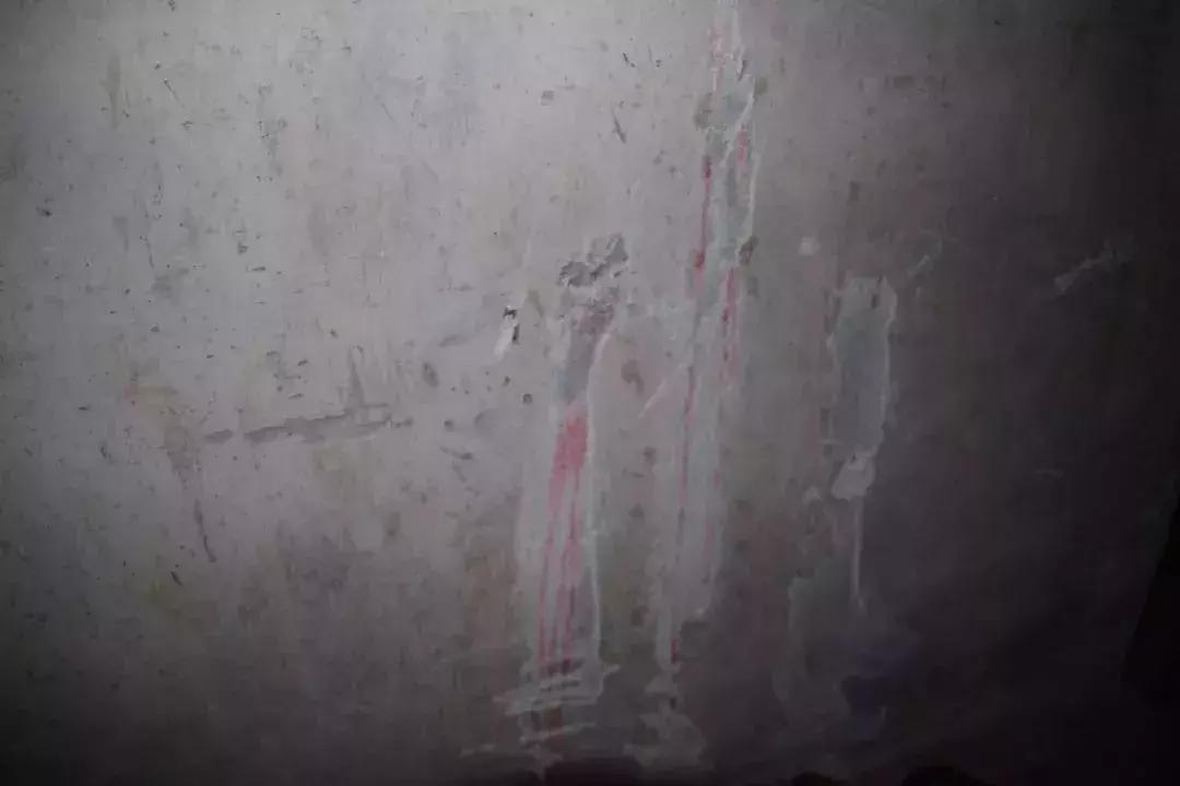 走进神秘警犬基地！解密“神犬”是怎样炼成的……