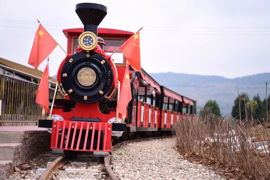 游仙区第五届旅游节,游仙区第六届乡村旅游节