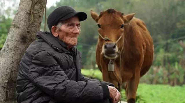 快干了这碗养生“珍珠粥”！103岁爷爷吃了变成这样……