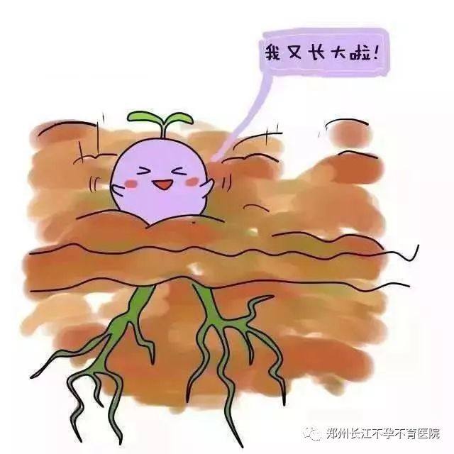 8个征兆说明你着床了,8个征兆说明你着床成功了