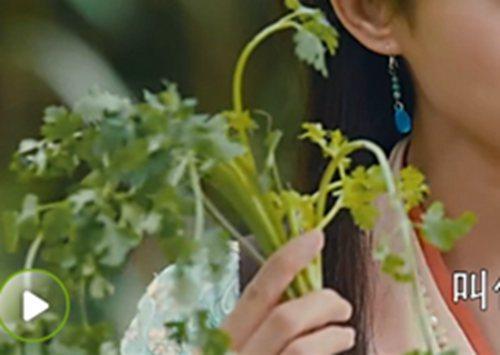 100涓鑿滃喎鐭ヨ瘑,12涓喎鐭ヨ瘑