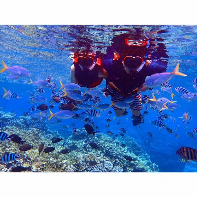 看我这发型酷不酷｜我觉得很可爱啊！帕劳潜水超级赞！