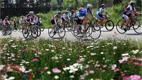 十条冬季京郊旅游主题线路出炉,周末京郊游玩转十大旅游线路