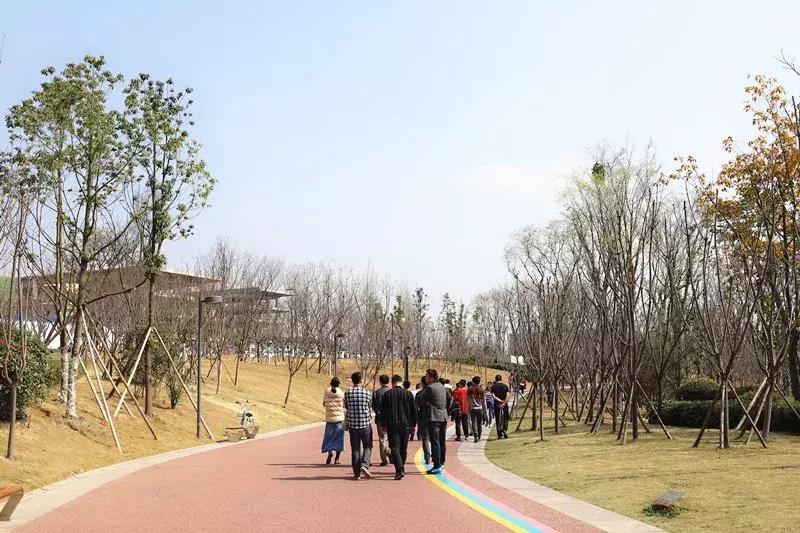 在兴隆湖上班怎么样,在天府新区兴隆湖上班的人