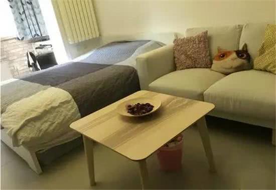 一家三口小蜗居装修,蜗居小户型房子装修