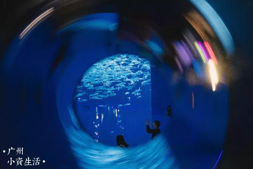 巴南海洋公园一日游攻略 (香港海洋公园游玩攻略)