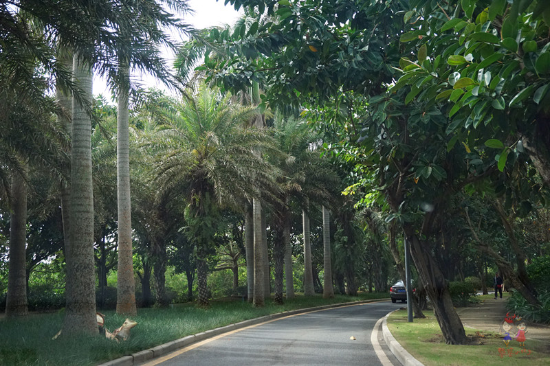 三亚非诚勿扰2拍摄点,非诚勿扰拍摄基地在三亚哪里