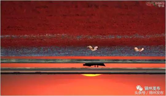 锦州市世博园开园了吗,锦州世博园五一开园