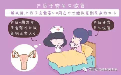 产后子宫恢复训练有哪些动作,生产后子宫多久恢复原来大小